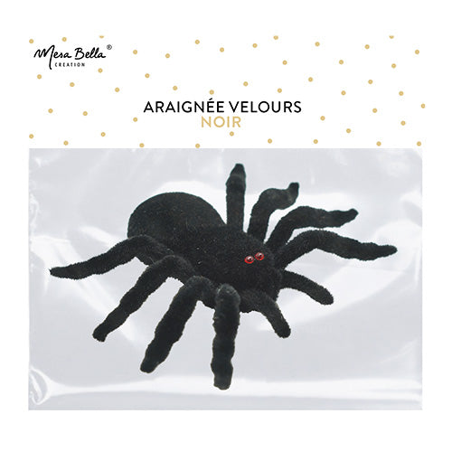 Araignée en velours noir
