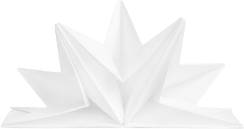 12 serviettes 40x60 cm prepliees blanc