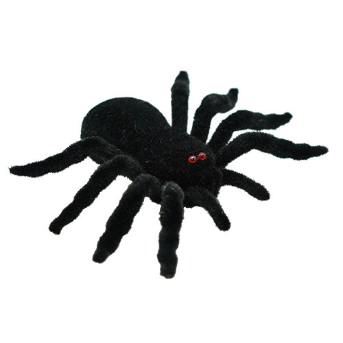 Araignée en velours noir