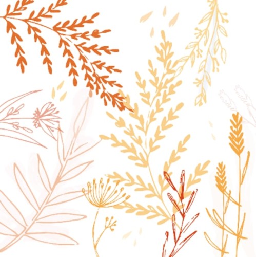 20 serviettes 33x33cm flore d'hiver terracota