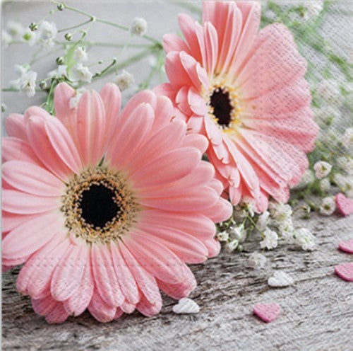 20 serviettes 33x33cm gerbera