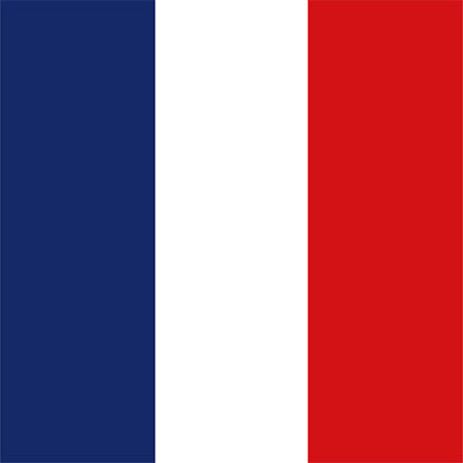 20 serviettes 33x33cm drapeau tricolore