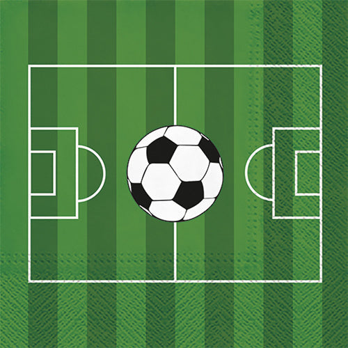 20 serviettes 33x33 cm milieu de terrain