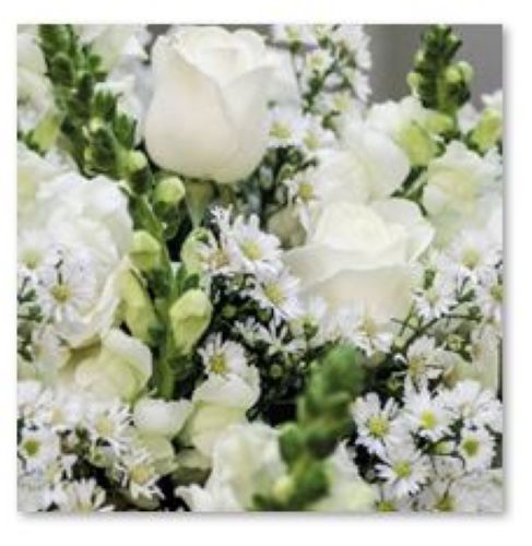 20 Serviettes 33x33cm roses blanches